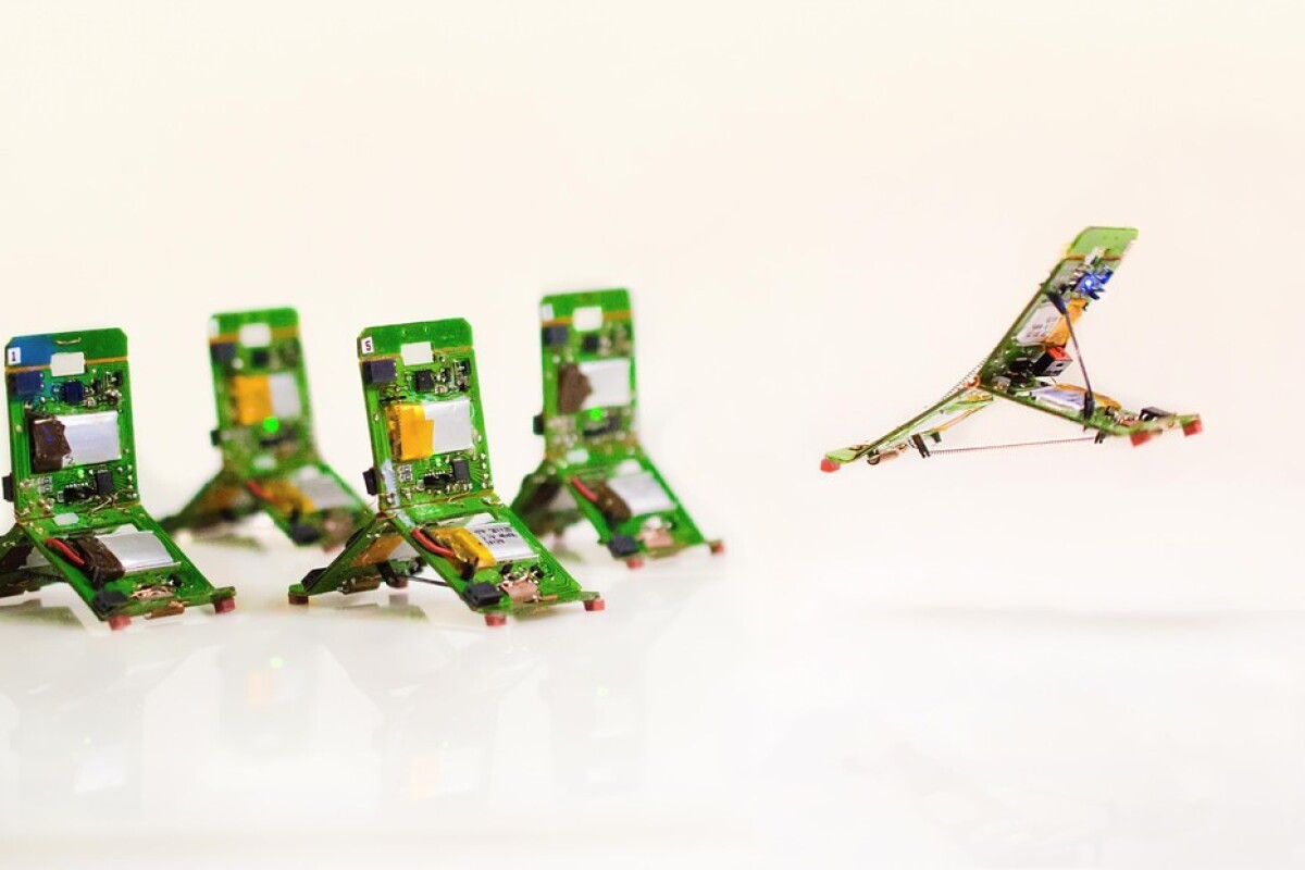 <b>受蚂蚁启发的微型摩擦学机器人拥有集体智慧来处理重大任务</b>