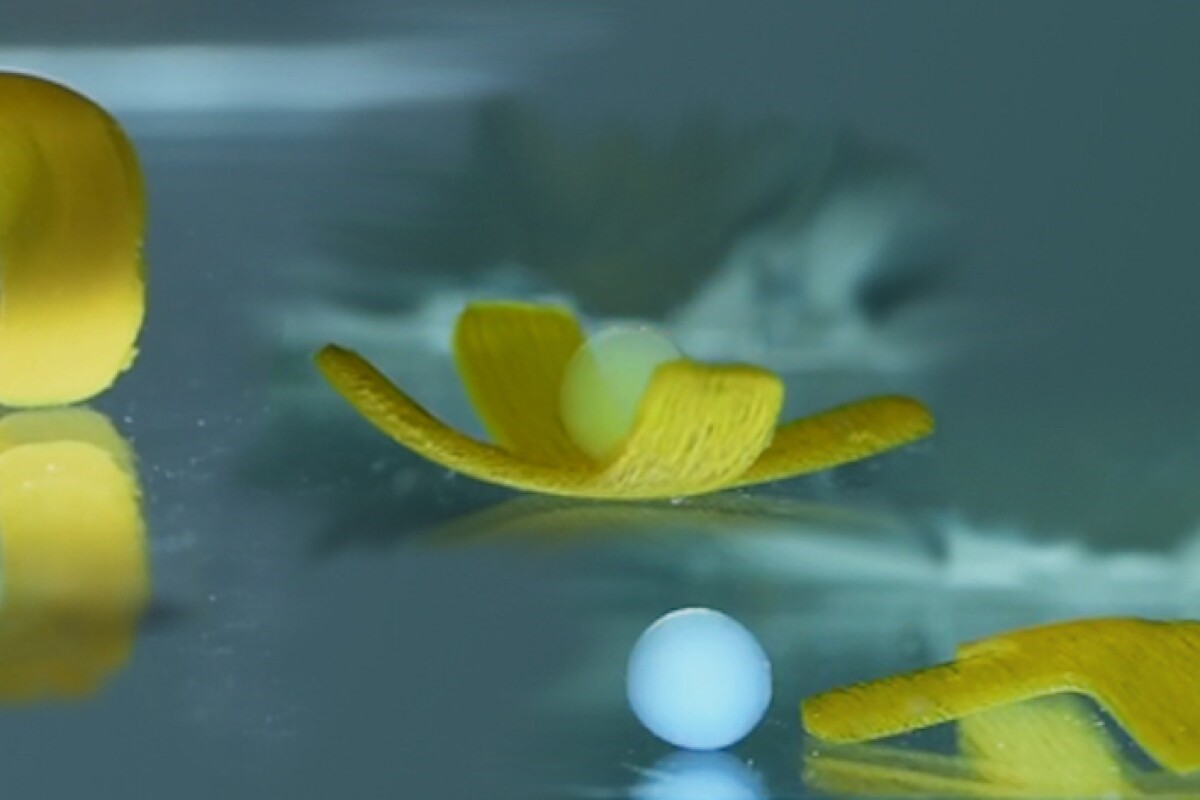 <b>由光线和磁铁激活的柔软水上机器人可以快速爬行</b>