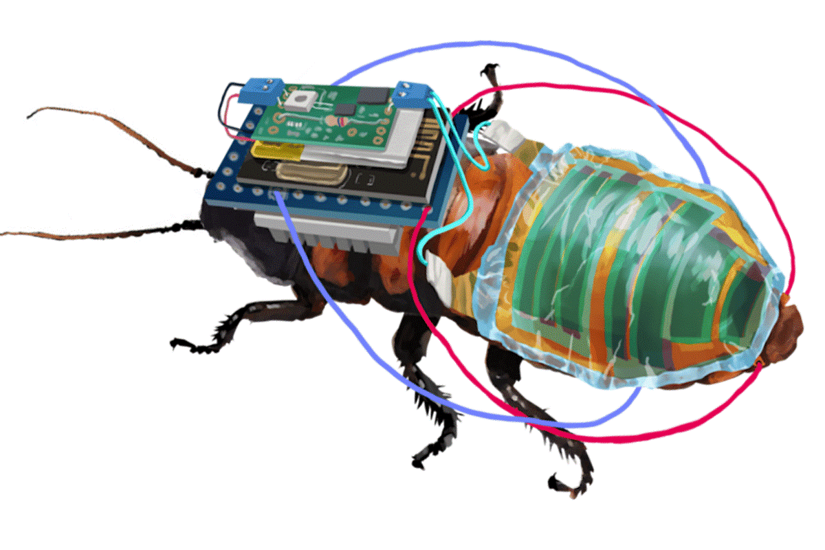 <b>远程控制的机器蟑螂现在可以使用太阳能供电</b>