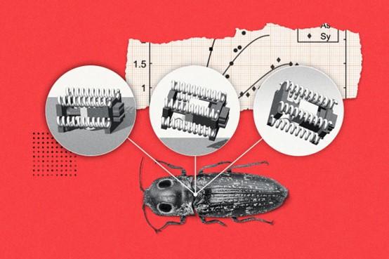 <b>微型机器人复制咔哒声甲虫来跳过障碍</b>