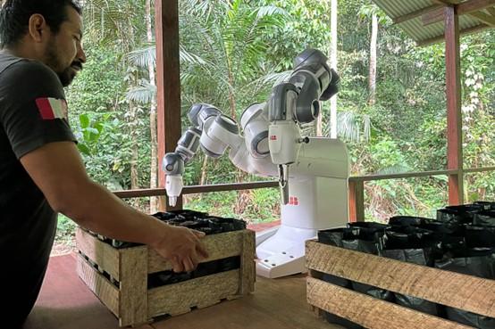 <b>双臂机器人助力亚马逊植树造林</b>