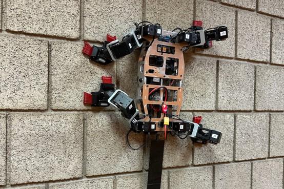 <b>攀岩机器人用仿生抓具攀爬粗糙的墙壁</b>